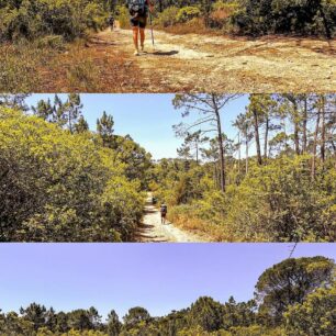 Putování Portugalskem od severu k jihu po dálkových trasách Svatojakubská cesta (Camino de Santiago) a Rota Vincentina