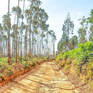 Putování Portugalskem od severu k jihu po dálkových trasách Svatojakubská cesta (Camino de Santiago) a Rota Vincentina