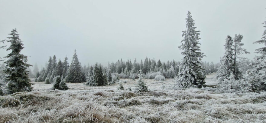 Na treku přes Volovské vrchy na Slovensku jsem tentokrát neměl štěstí na výhledy