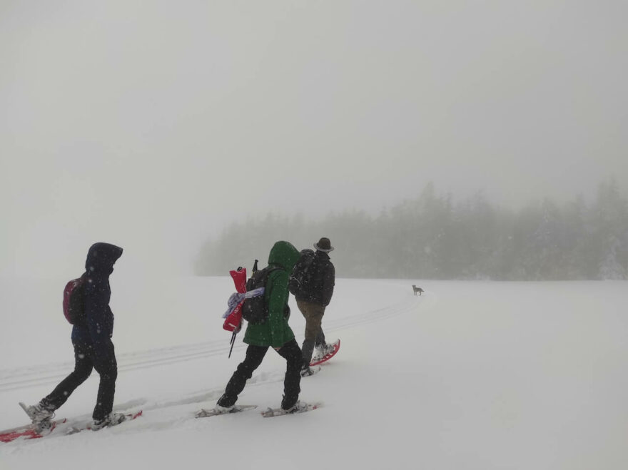 Po stopách šelem na sněžnicích do bílé tmy