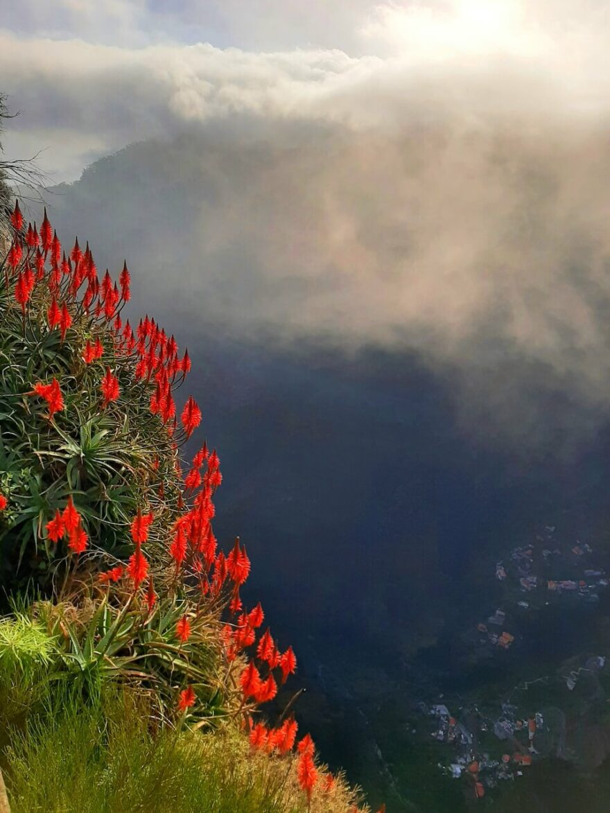 Dechberoucí krajina Madeiry z vyhlídky Eira do Serrado.