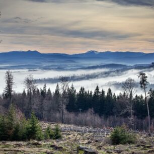 Čerchov - pohled z Kurzovy věže, Český les. Foto Josef Kuželka