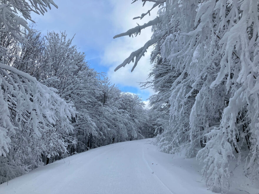 Čerchov - Český les a perfektní stopa. Foto Klára Růžková