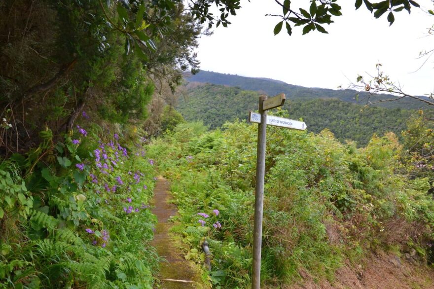 Projděte si ostrov La Palma: přes vulkány k oceánu