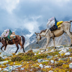 Petr Jan Juračka - vědec, učitel, fotograf, filmař, cestovatel, horolezec, manžel a otec dvou dětí.