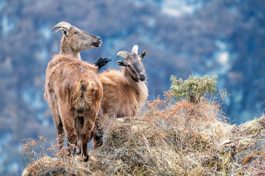 Petr Jan Juračka - vědec, učitel, fotograf, filmař, cestovatel, horolezec, manžel a otec dvou dětí.
