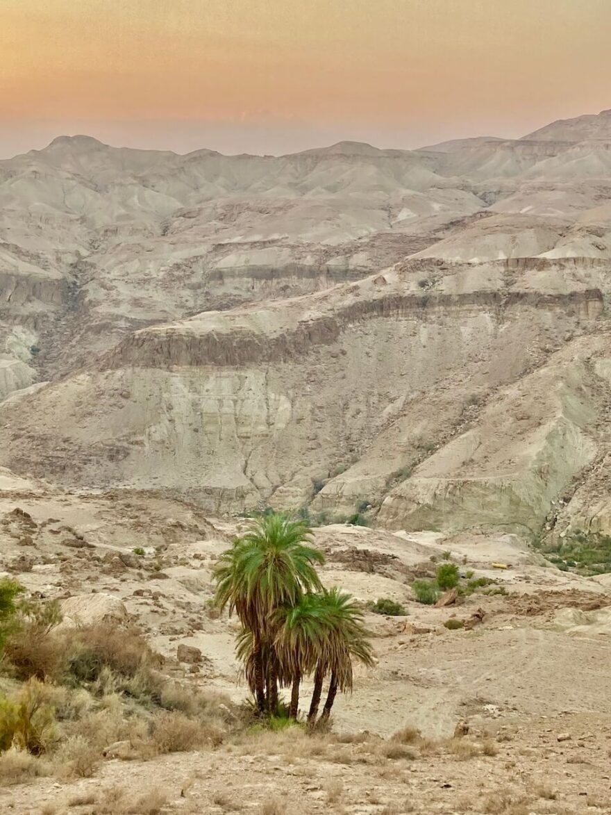 Jordan trail - 675 km dlouhý trail, který začíná na severu u syrských hranic, vede celým Jordánskem a končí až na jihu u Rudého moře