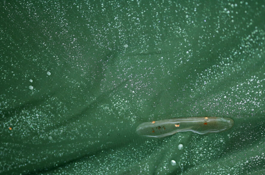 Testování odolnosti tropika bivakovací pytle od Warmpeace Bivy Hobo