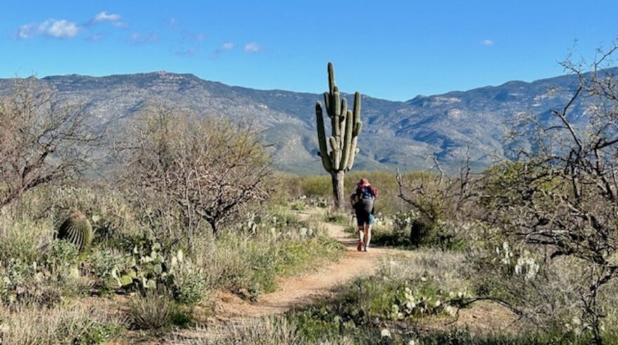 Arizona Trail prochází celou Arizonou od jihu až na sever.