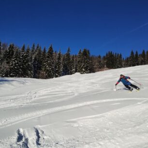 Testování ve sjezdu dopadlo pro boty DYNAFIT RIDGE PRO na jedničku