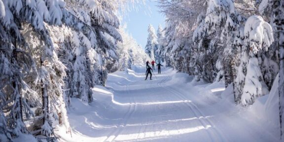 Jakuszyce: 80 kilometrů zasněženými lesy polských Jizerek