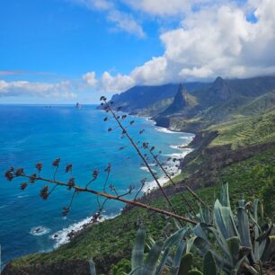 Divoké útesy a rozbouřený oceán na Tenerife