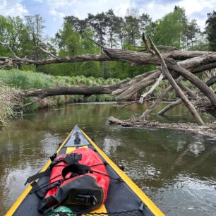 Stromy v řece jsou běžnou záležitostí. Většinou je ale prořezaná cesta skrz. Foto je z řeky Ruda.