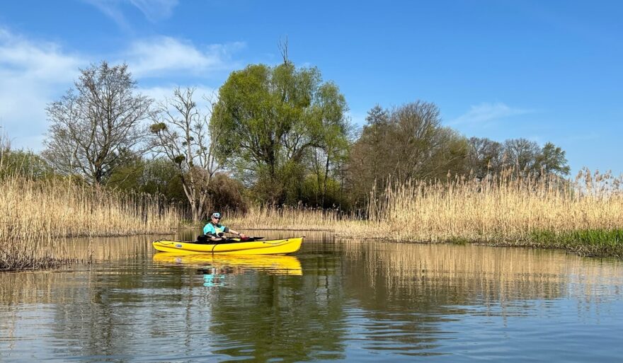 Vratislav - Chvílemi se zdá, že Olava končí, ale potom se vždycky nějaká cesta skrz rákosí najde.