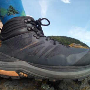 I na mokrém čediči drží jako přibitá