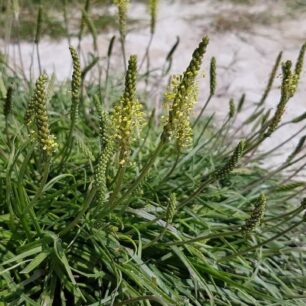 Slovensko bikepackingově - na horských kolech z Košic zpátky do Břeclavi