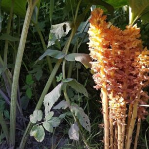 Slovensko bikepackingově - na horských kolech z Košic zpátky do Břeclavi