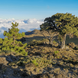 Přechod největšího tchajwanského parku Yushan