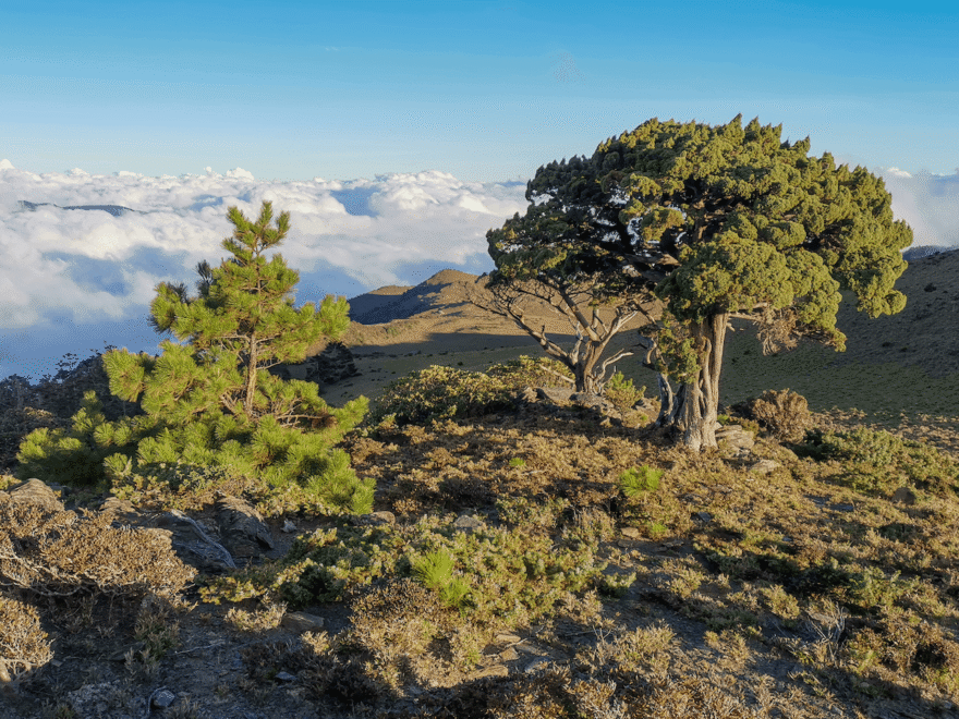 Přechod největšího tchajwanského parku Yushan