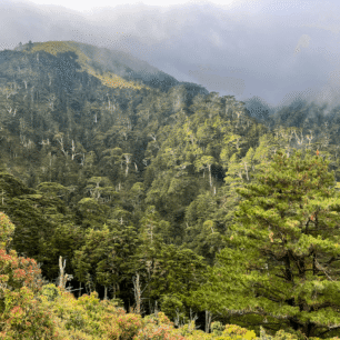 Přechod největšího tchajwanského parku Yushan