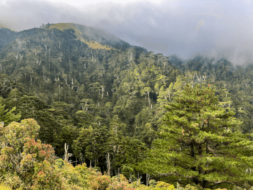 Přechod největšího tchajwanského parku Yushan