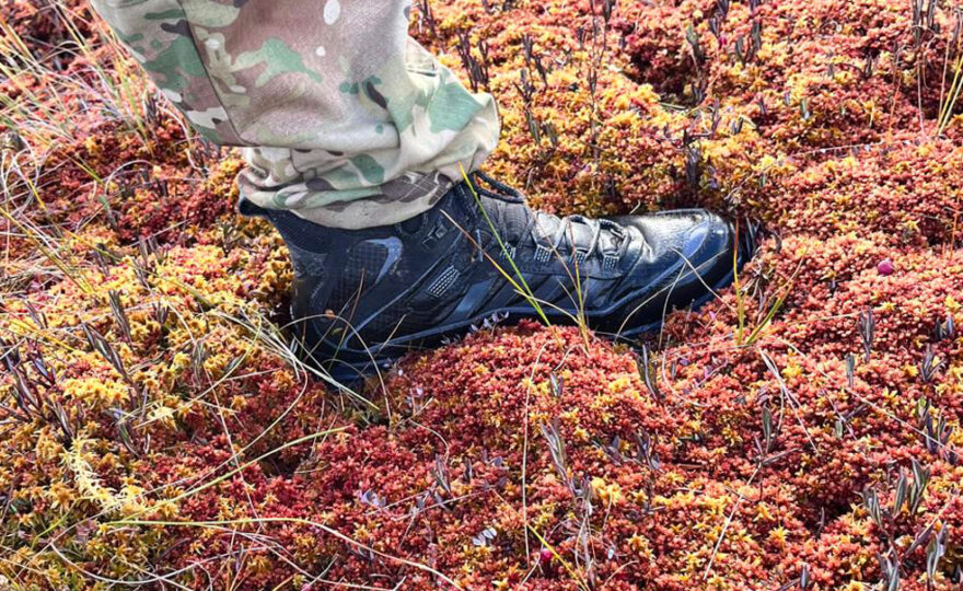 Voděodolnost bot skvěle prověřily estonské močály - MOAB SPEED 2 THERMO MID WATERPROOF