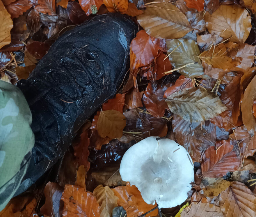 Voděodolnost je velmi vysoká