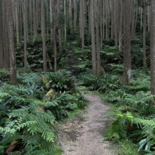 Japonsko, Aneta Váchová