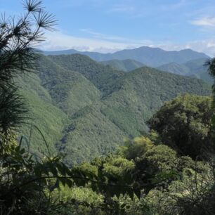 Japonsko, Aneta Váchová