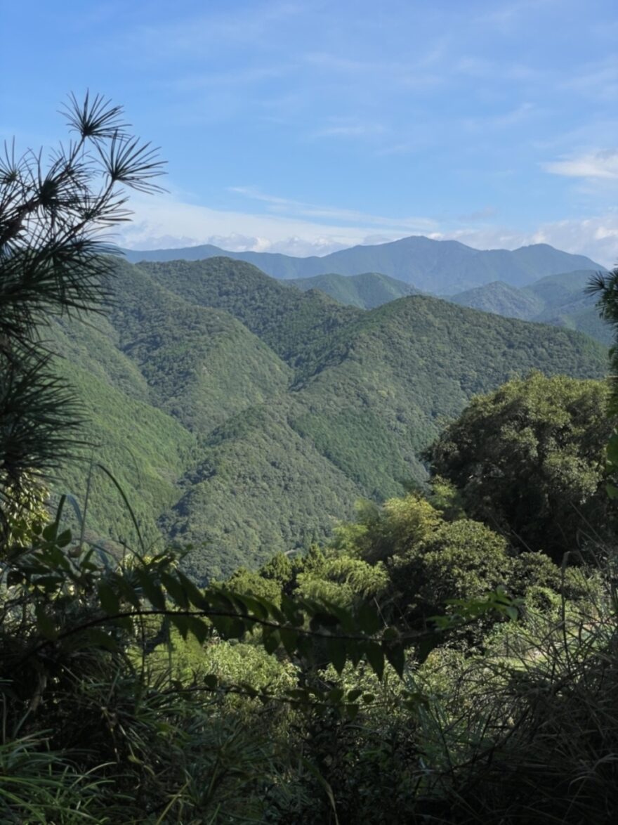 Japonsko, Aneta Váchová