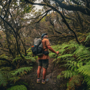 Kanárské ostrovy, Jakub Šolc