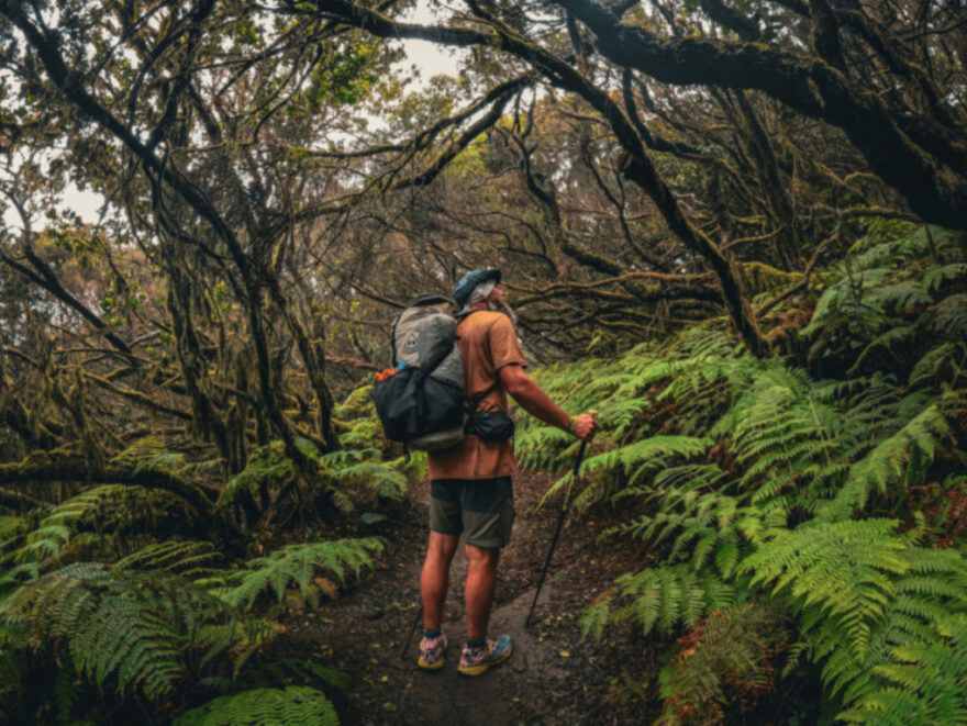 Kanárské ostrovy, Jakub Šolc