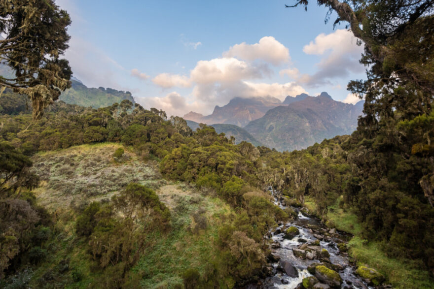 Uganda, Matouš Vinš