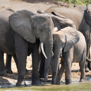 Uganda, Matouš Vinš