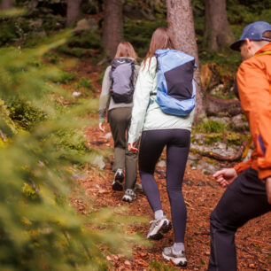 Systém Salewa 3F zpevňuje patu i střed chodidla - Salewa Pedroc 2 Mid PTX W