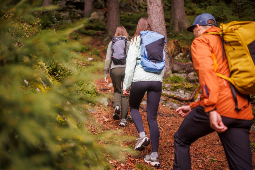 Systém Salewa 3F zpevňuje patu i střed chodidla - Salewa Pedroc 2 Mid PTX W