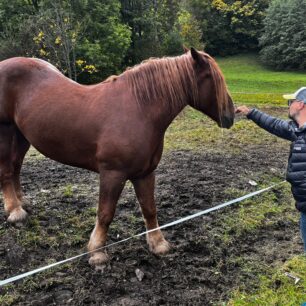 Testování péřové bundy BUNDA COLUMBIA MEN'S ARCTIC CREST™ DOWN HOODED JACKET během podzimu 2025