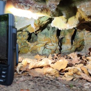 Svítilna je neskutečně praktická a dostatečně silná, aby nahradila malou ruční svítilnu