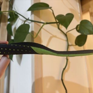 Perfektně tvarovaná stélka s vynikají oporou pro klenbu - OBOZ HYALITE LOW WATERPROOF