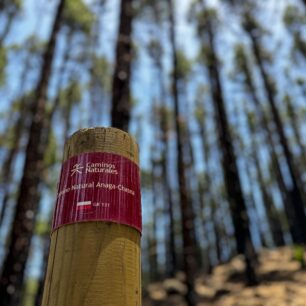 650 KM PĚŠKY PŘES SEDM KANÁRSKÝCH OSTROVŮ