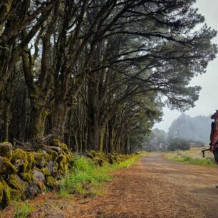 650 KM PĚŠKY PŘES SEDM KANÁRSKÝCH OSTROVŮ