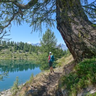 V závěru treku stezka vede kolem jezera Mognola, považovaného za nejkrásnější horské jezero Ticina.