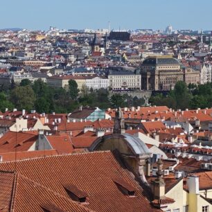 Za krásného počasí není potřeba při focení nastavovat vůbec nic. Záběr je přiblížen 10násobným zoomem.