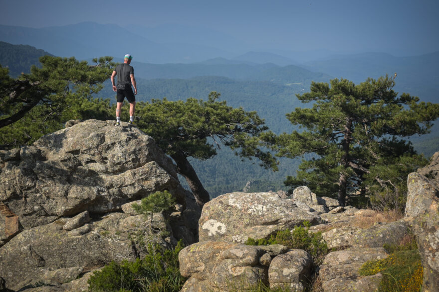 Výdrž jako v armádě, barvy pro módní přehlídku. Sensor trefil s novou kolekcí jackpot