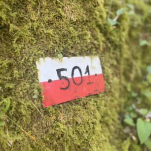 Hlavní hřebenová trasa 501