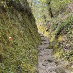 Trek na monte Epomeo, nejvyšší bod ostrova