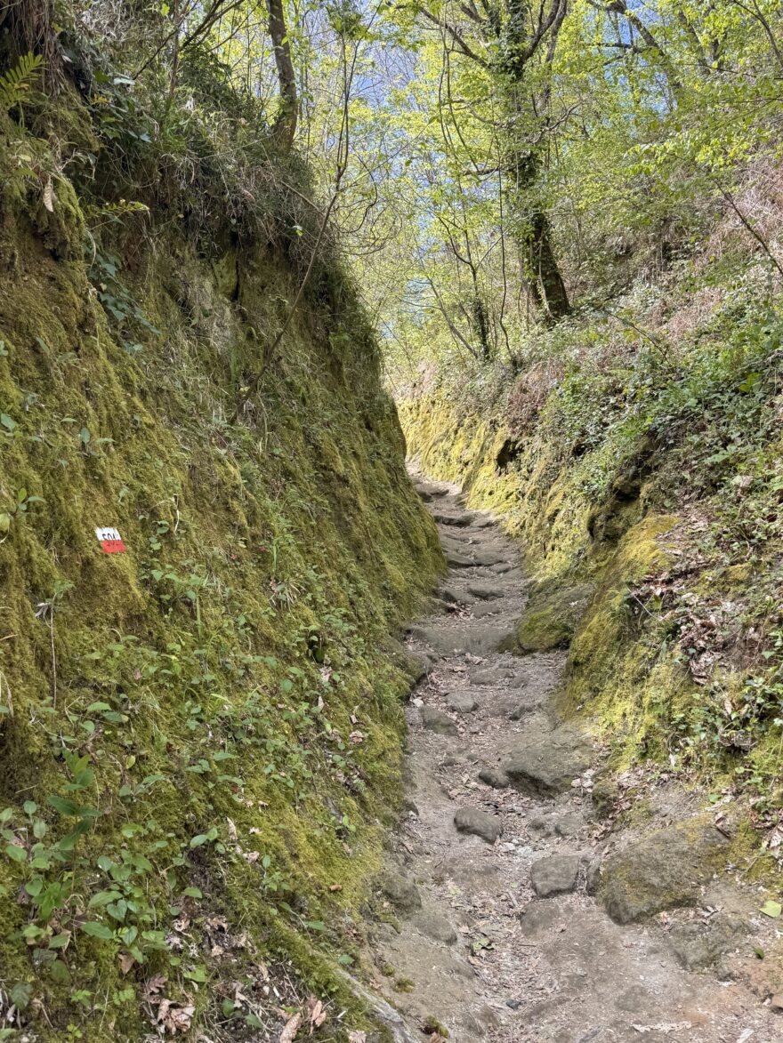 Trek na monte Epomeo, nejvyšší bod ostrova