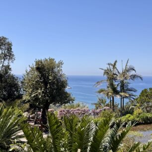 Botanická zahrada Giardini La Mortella