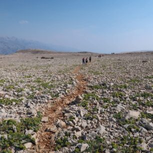 Life on Mars na Pagu: Průvodce nejatraktivnější trekovou stezkou na Jadranu, která vám změní pohled na Chorvatsko