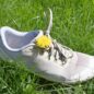 RECENZE: MERRELL VAPOR GLOVE 7 – BLÍŽ K ZEMI, BLÍŽ K SOBĚ